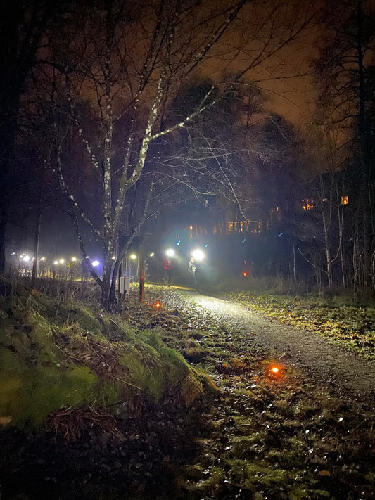 Sandared Night Run is back!