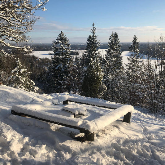 Varför springa ett lopp i december egentligen?