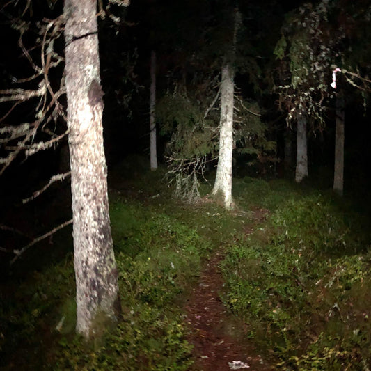 Sandared Night Run - kom och spring i mörkret med oss!