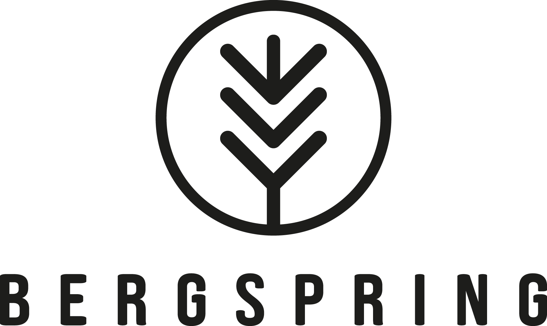 Bergspring logotype 