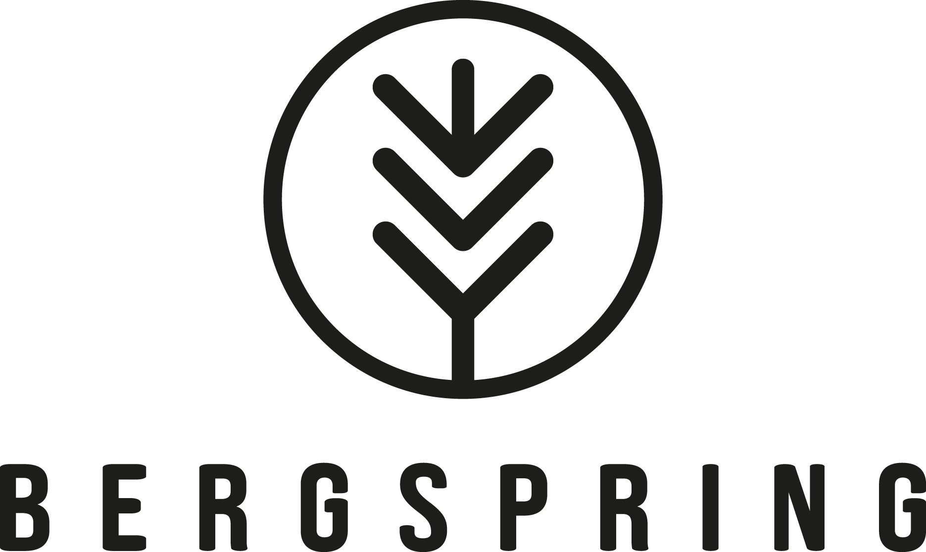 Bergspring logotype