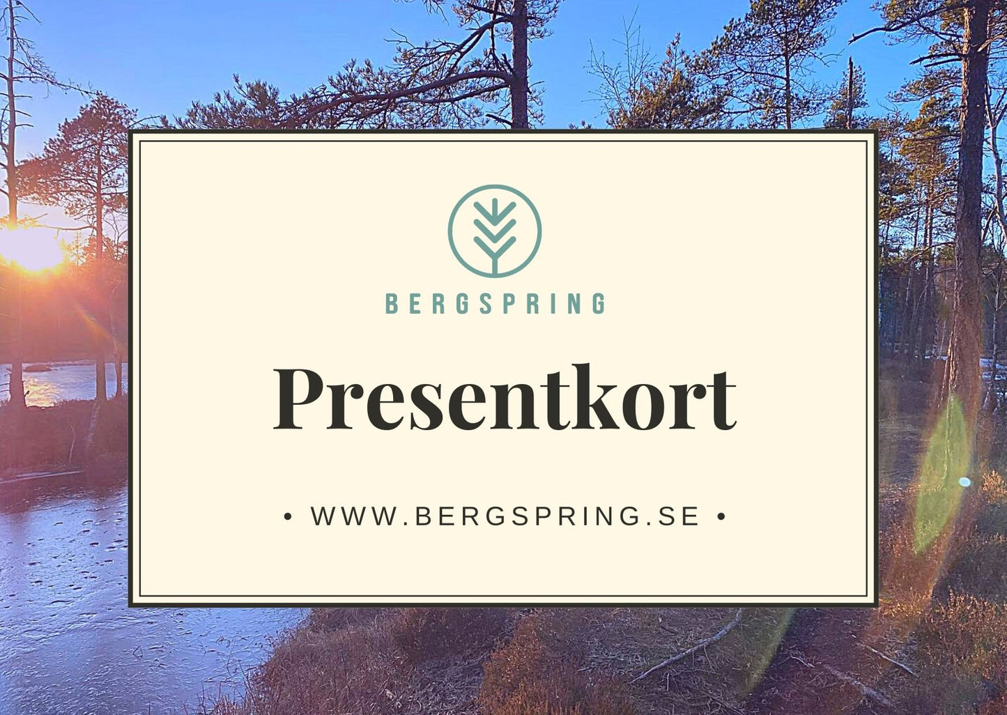 Bergspring presentkort