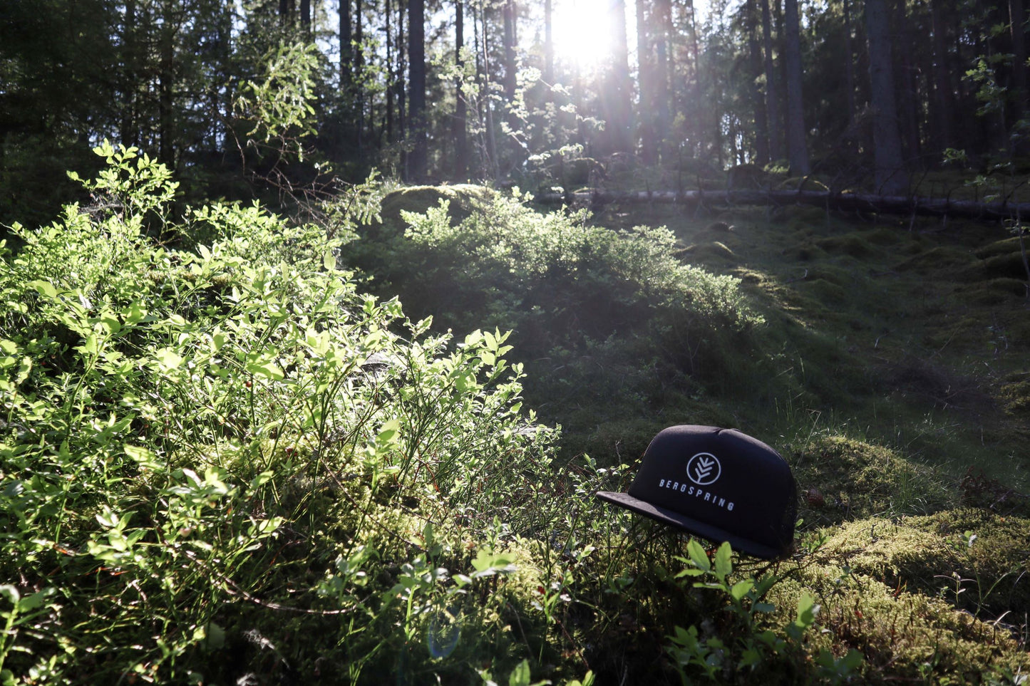 Bergspring Trucker Hat